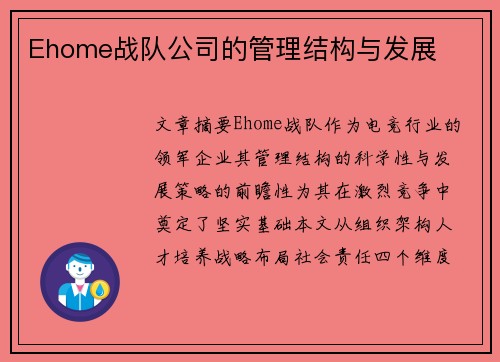 Ehome战队公司的管理结构与发展
